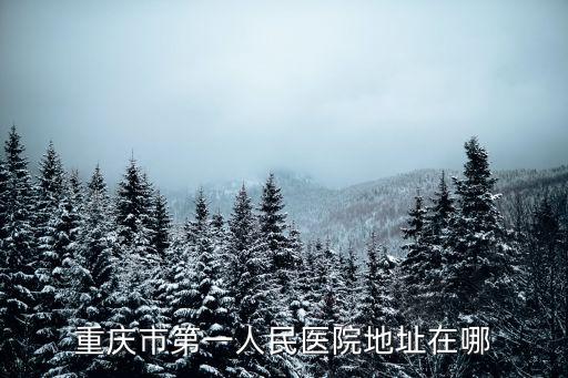 重慶市第一人民醫院地址在哪