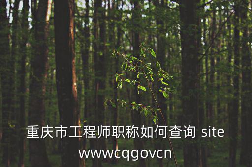 重慶市工程師職稱如何查詢 sitewwwcqgovcn