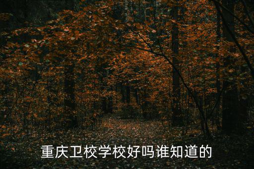 重慶市開縣衛(wèi)生職業(yè)學(xué)校，開縣的那個職業(yè)學(xué)校最好呀