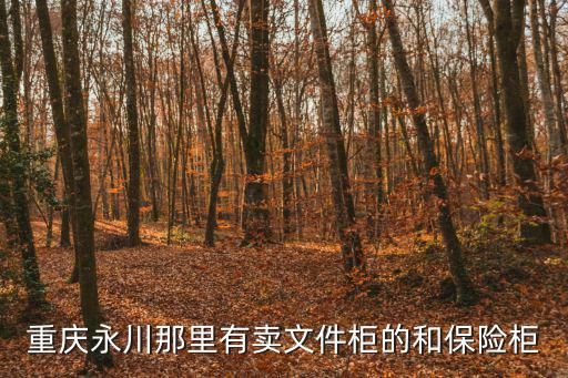 重慶永川那里有賣文件柜的和保險(xiǎn)柜
