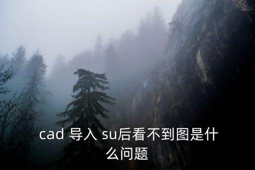 su導入cad,如何映射導入su?