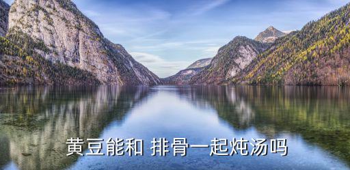  黃豆能和 排骨一起燉湯嗎