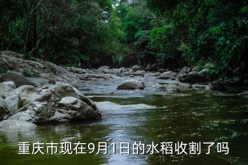 重慶市現(xiàn)在9月1日的水稻收割了嗎