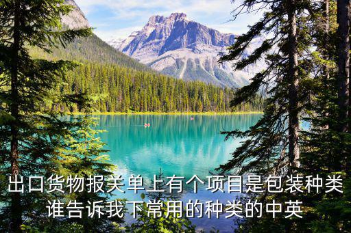 出口貨物報關單上有個項目是包裝種類誰告訴我下常用的種類的中英