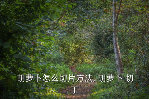  胡蘿卜怎么切片方法, 胡蘿卜 切丁