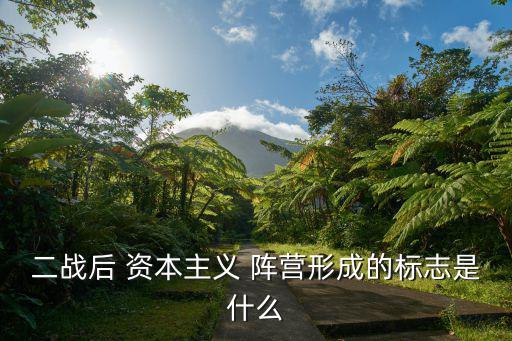 資本主義陣營,俄羅斯經濟社會發展歷程