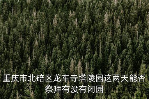 重慶市龍車(chē)寺塔陵園是什么單位，重慶市北碚龍車(chē)寺塔陵園