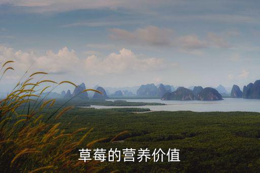 草莓的營養價值