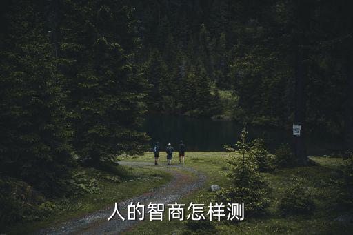 人的智商怎樣測