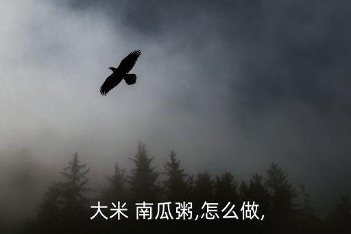  大米 南瓜粥,怎么做,