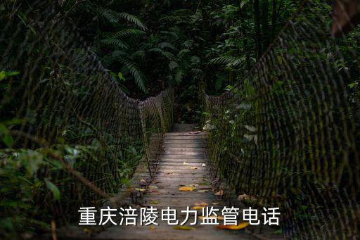 重慶涪陵電力監管電話