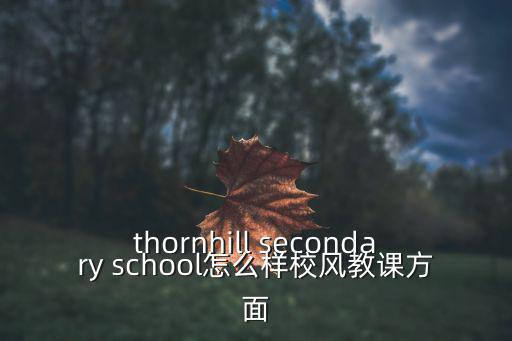 thornhill secondary school怎么樣校風教課方面