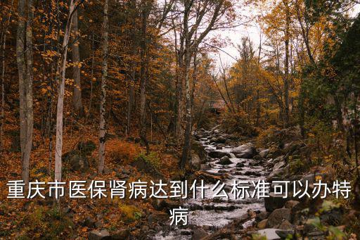重慶市醫保腎病達到什么標準可以辦特病