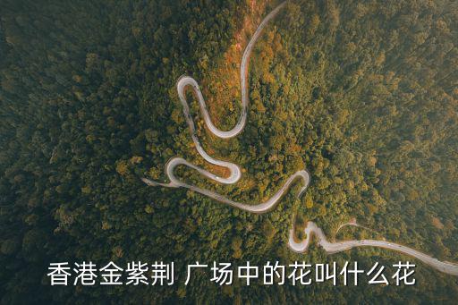 香港紫荊花廣場,香港永遠盛開紫荊花雕塑象征香港繁榮昌盛