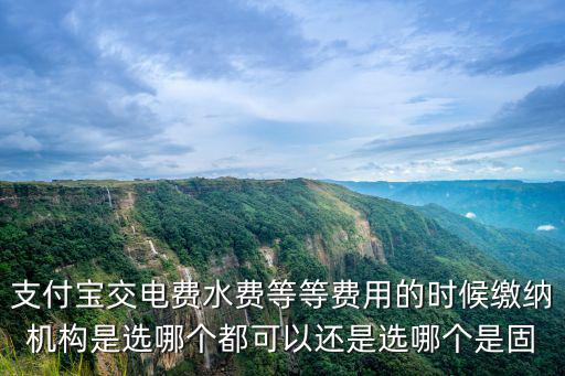 支付寶交電費水費等等費用的時候繳納機構是選哪個都可以還是選哪個是固