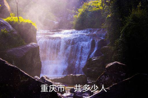 重慶市一共多少人