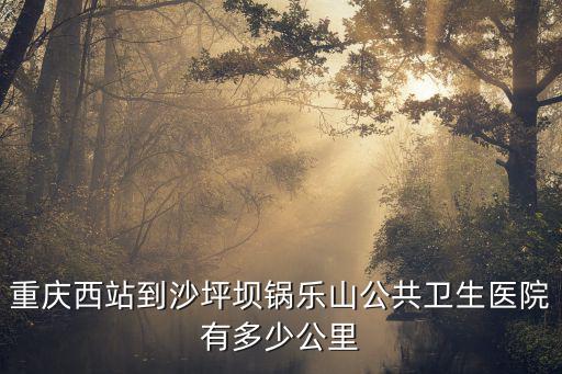 重慶西站到沙坪壩鍋樂山公共衛(wèi)生醫(yī)院有多少公里