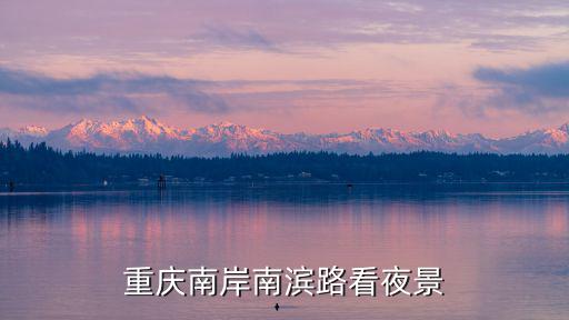重慶南岸南濱路看夜景