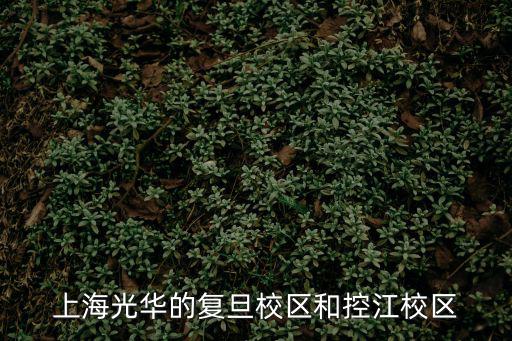 上海光華的復旦校區(qū)和控江校區(qū)