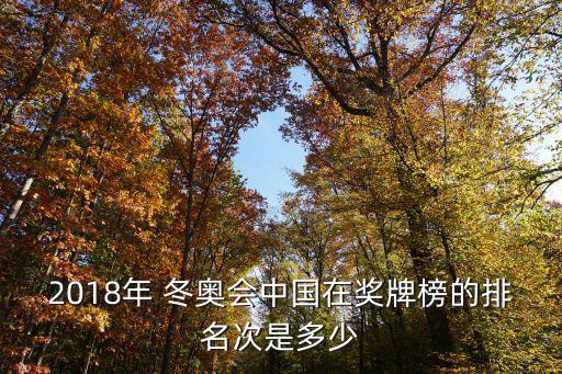 2018年 冬奧會中國在獎牌榜的排名次是多少