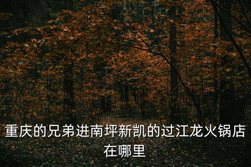 重慶的兄弟進(jìn)南坪新凱的過江龍火鍋店在哪里
