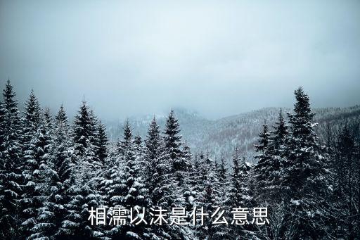 相濡,相濡以沫，不如忘了江湖出自《莊子·大宗師》