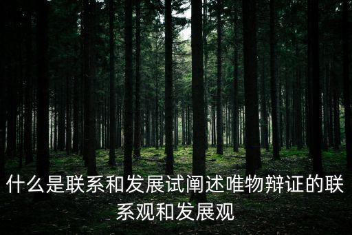 聯系觀,辯證法:連接觀點是矛盾統一論的核心