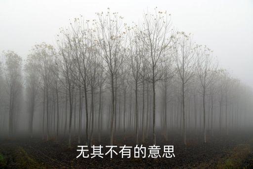 無其不有的意思