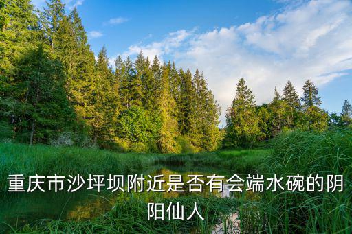 重慶市沙坪壩附近是否有會端水碗的陰陽仙人