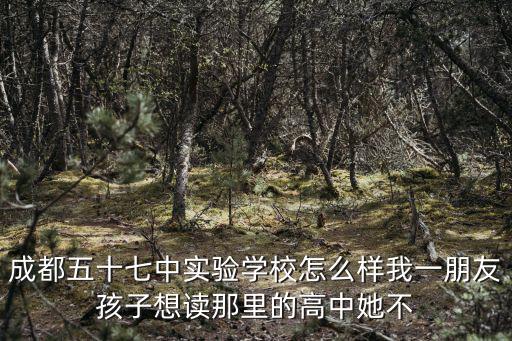 成都五十七中實驗學校怎么樣我一朋友孩子想讀那里的高中她不