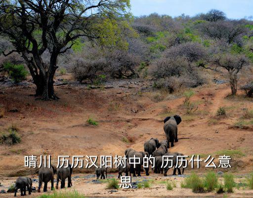  晴川 歷歷漢陽樹中的 歷歷什么意思