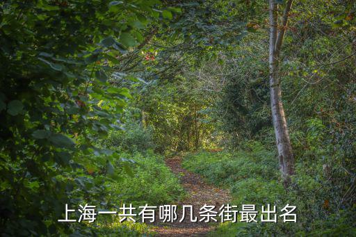 上海一共有哪幾條街最出名