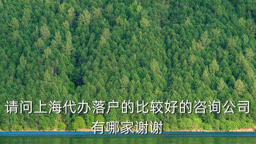 請問上海代辦落戶的比較好的咨詢公司有哪家謝謝