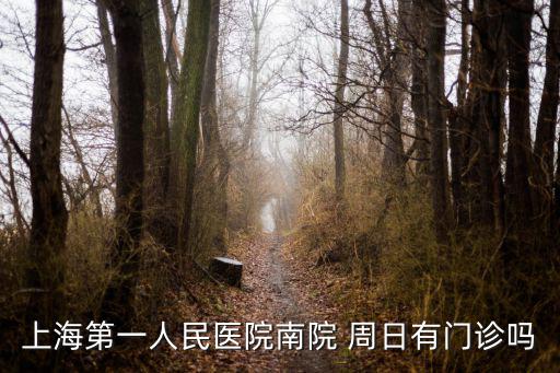 上海第一人民醫院南院 周日有門診嗎