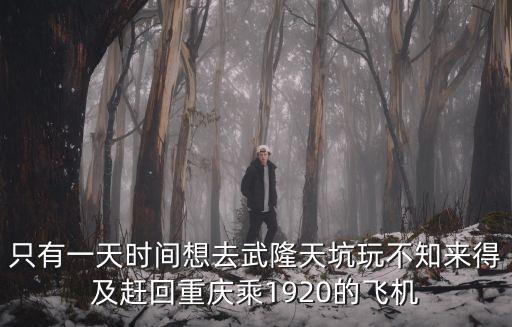 只有一天時間想去武隆天坑玩不知來得及趕回重慶乘1920的飛機