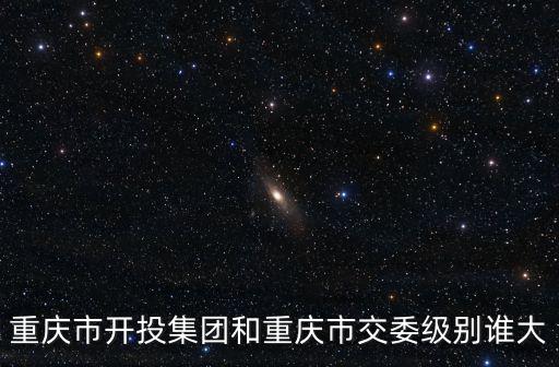 重慶市開投集團和重慶市交委級別誰大