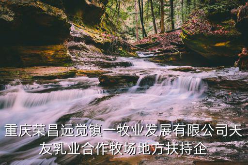 重慶榮昌遠(yuǎn)覺鎮(zhèn)一牧業(yè)發(fā)展有限公司天友乳業(yè)合作牧場(chǎng)地方扶持企