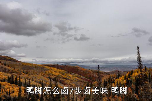  鴨腳怎么鹵7步鹵美味 鴨腳