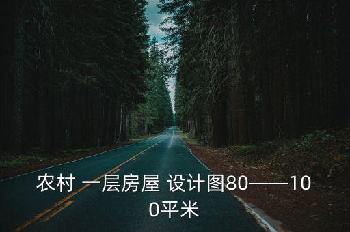 農(nóng)村 一層房屋 設(shè)計(jì)圖80——100平米
