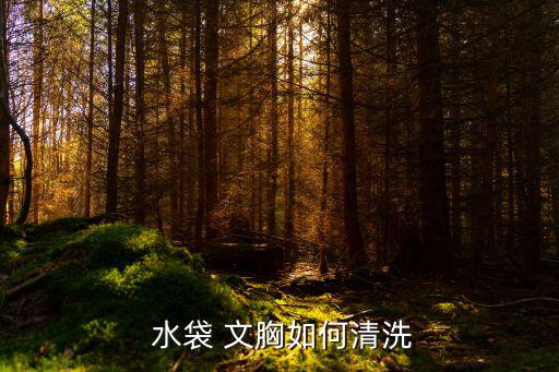  水袋 文胸如何清洗