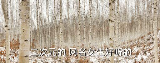 二次元網名,空城獨白
