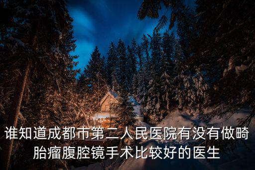 誰知道成都市第二人民醫(yī)院有沒有做畸胎瘤腹腔鏡手術比較好的醫(yī)生