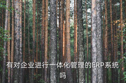 有對企業(yè)進(jìn)行一體化管理的ERP系統(tǒng)嗎