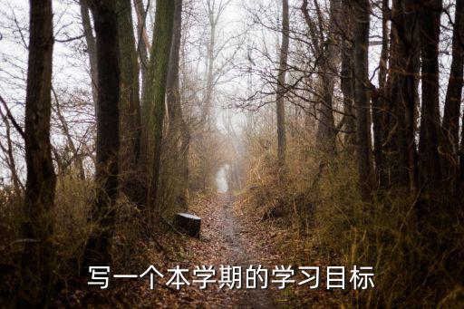 寫一個本學(xué)期的學(xué)習(xí)目標(biāo)