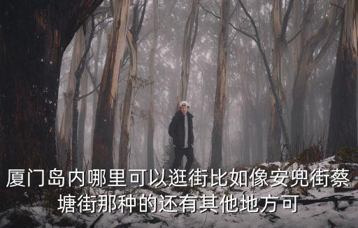 廈門島內哪里可以逛街比如像安兜街蔡塘街那種的還有其他地方可