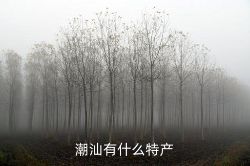 潮州春餅,潮州三大特色小吃之一潮州卷