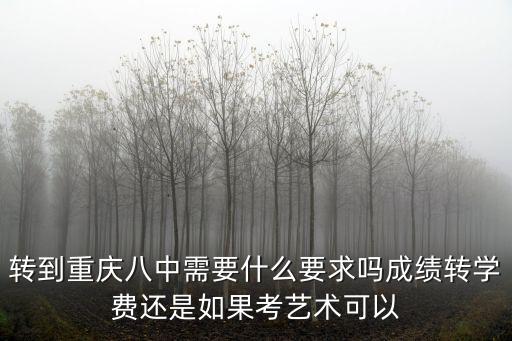 轉到重慶八中需要什么要求嗎成績轉學費還是如果考藝術可以