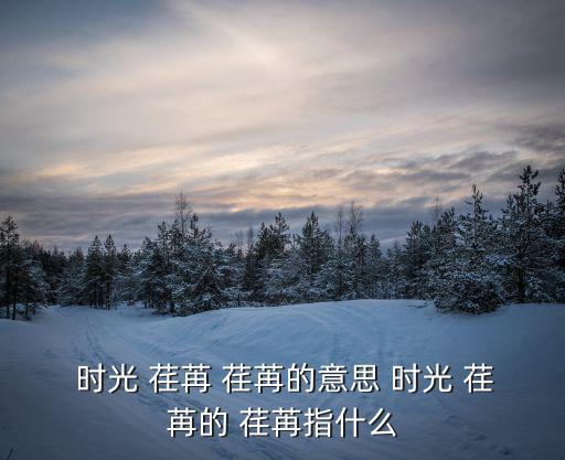  時光 荏苒 荏苒的意思 時光 荏苒的 荏苒指什么