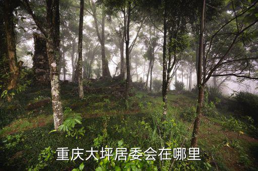 重慶大坪居委會在哪里