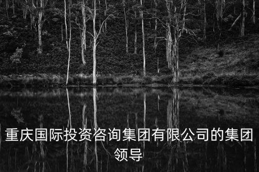重慶國際投資咨詢集團有限公司的集團領導